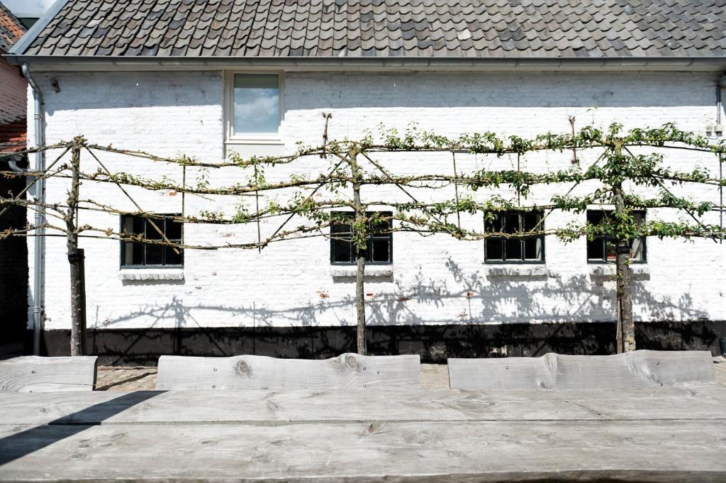 Cour 8 Lofts Guest House Maastricht Phòng bức ảnh